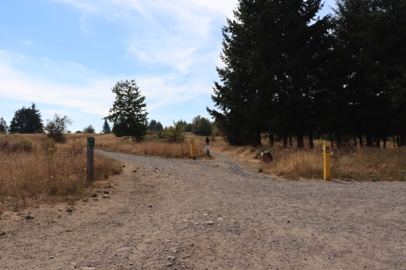 Junction of Pipeline Lane, Meadowland Lane and Forest Edge Trail – go to Forest Edge Trail to follow AR proposed route